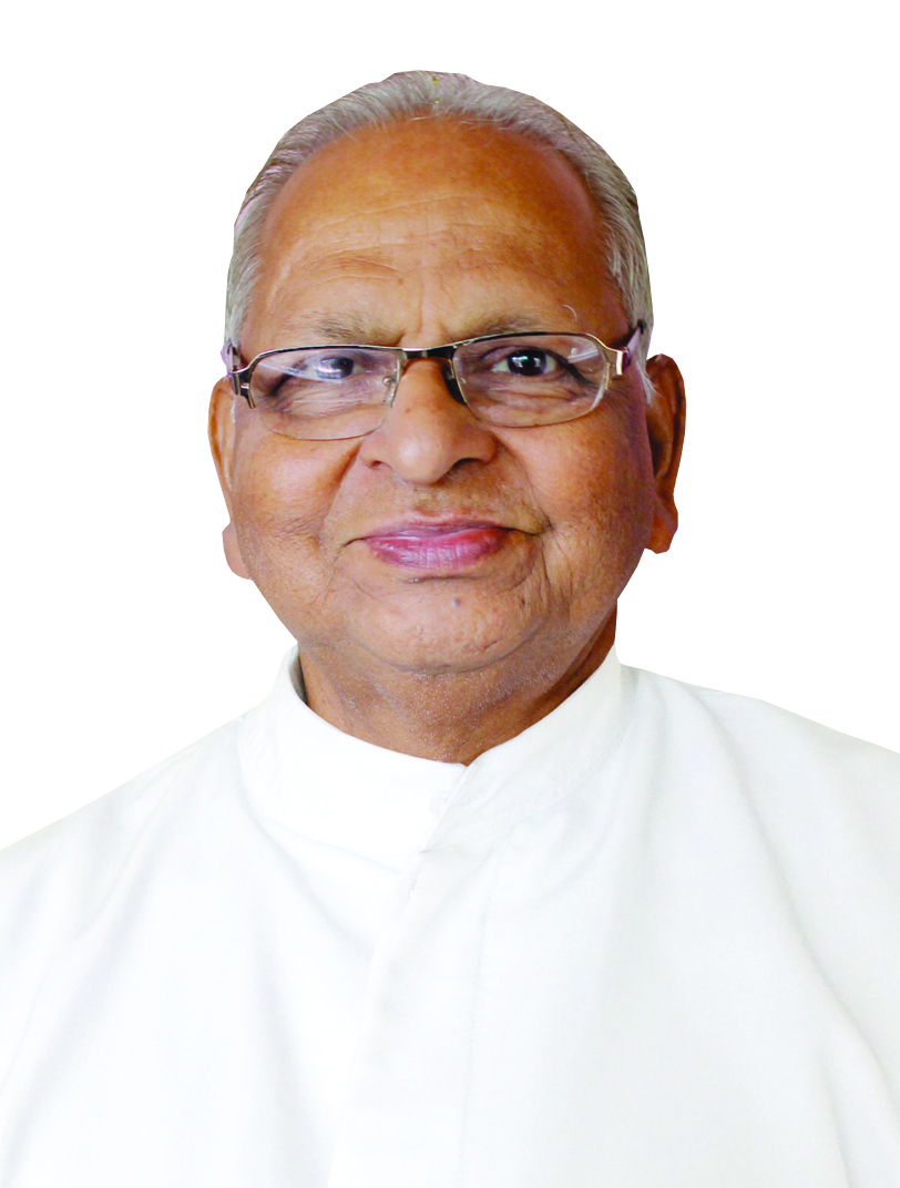 Rev. Fr. Paul Pallipadan CMI 